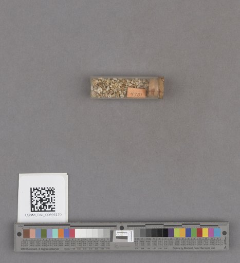 NSF ADBC EPICC TCN