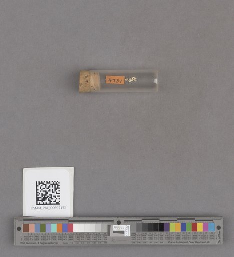 NSF ADBC EPICC TCN