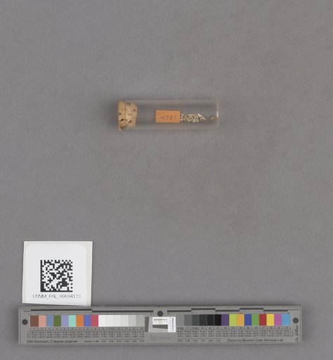 NSF ADBC EPICC TCN