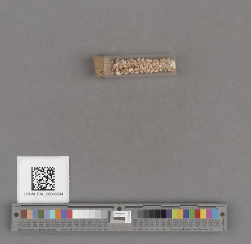 NSF ADBC EPICC TCN