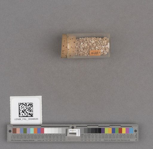 NSF ADBC EPICC TCN