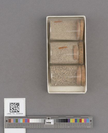 NSF ADBC EPICC TCN