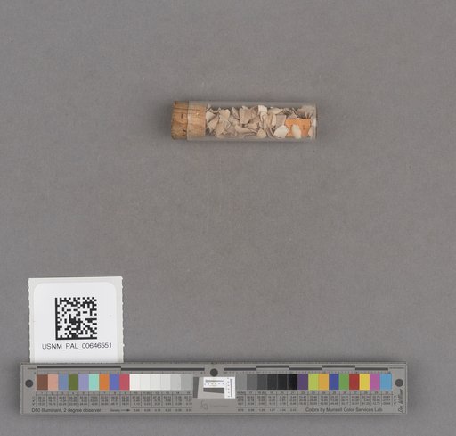 NSF ADBC EPICC TCN