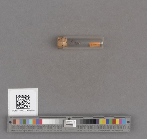 NSF ADBC EPICC TCN