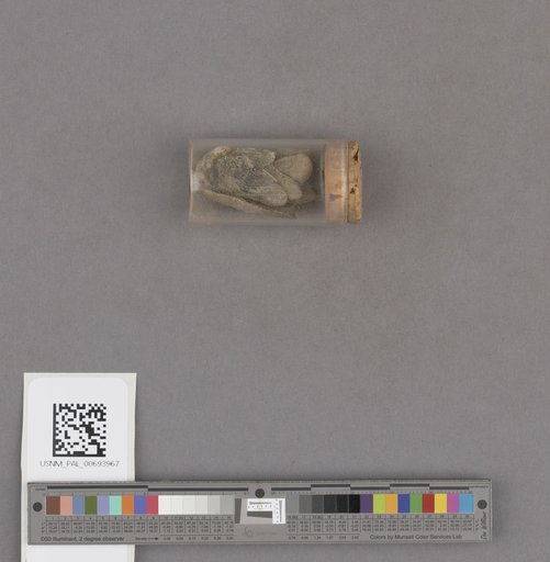 NSF ADBC EPICC TCN