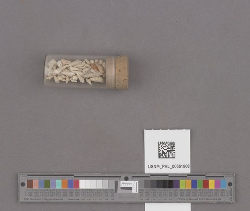 NSF ADBC EPICC TCN