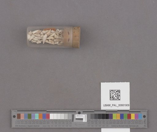 NSF ADBC EPICC TCN