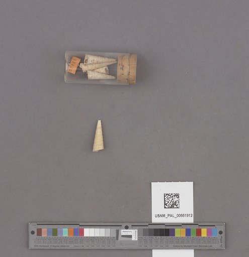 NSF ADBC EPICC TCN