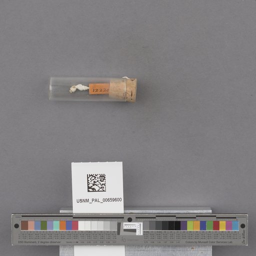 NSF ADBC EPICC TCN