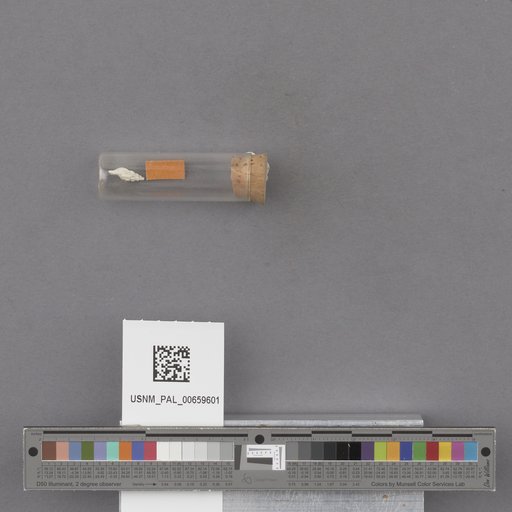 NSF ADBC EPICC TCN