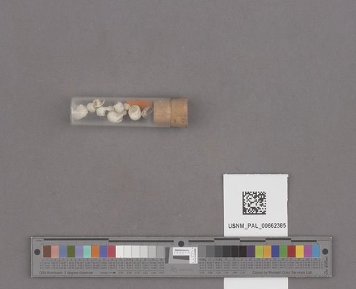 NSF ADBC EPICC TCN