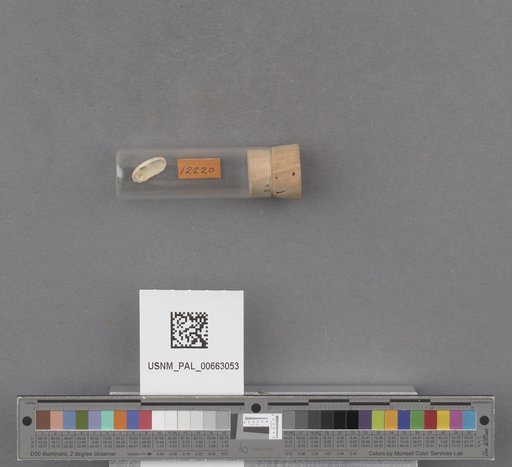 NSF ADBC EPICC TCN