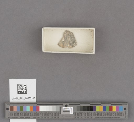 NSF ADBC EPICC TCN