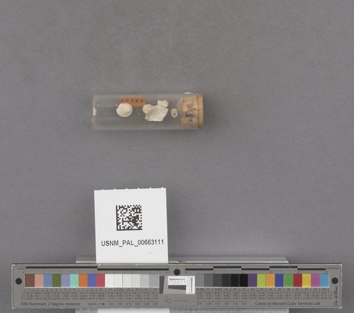 NSF ADBC EPICC TCN