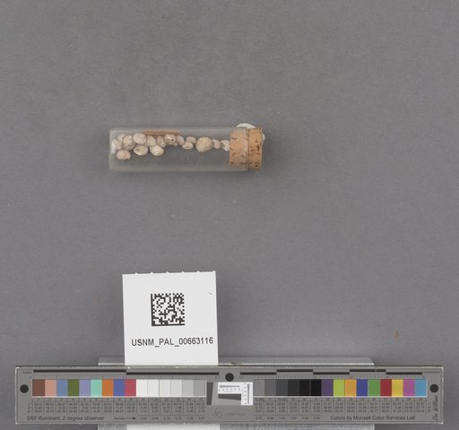 NSF ADBC EPICC TCN
