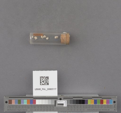 NSF ADBC EPICC TCN