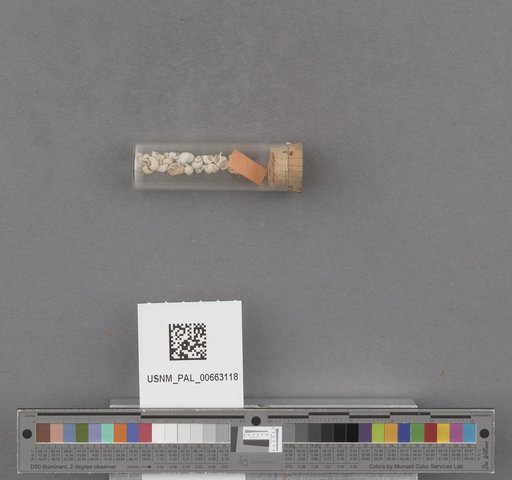 NSF ADBC EPICC TCN