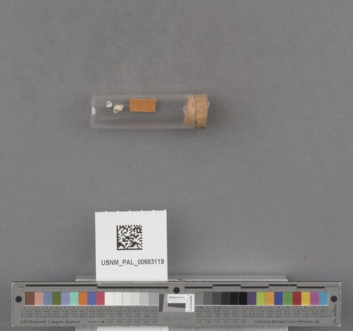 NSF ADBC EPICC TCN