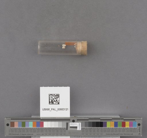 NSF ADBC EPICC TCN