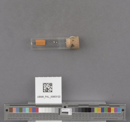 NSF ADBC EPICC TCN