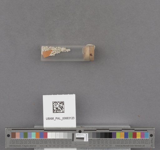NSF ADBC EPICC TCN