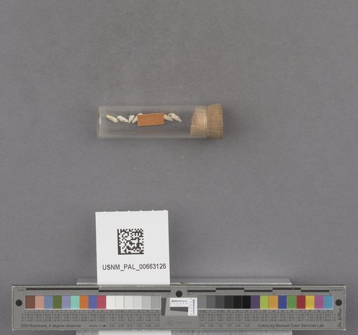 NSF ADBC EPICC TCN