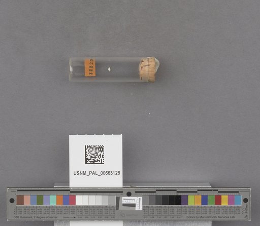 NSF ADBC EPICC TCN