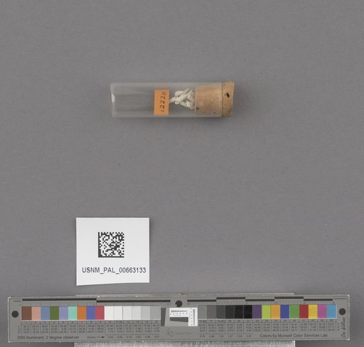 NSF ADBC EPICC TCN