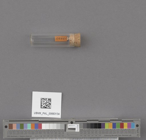 NSF ADBC EPICC TCN