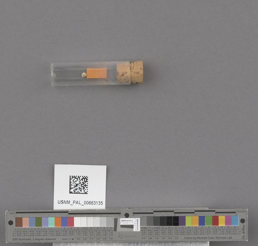 NSF ADBC EPICC TCN