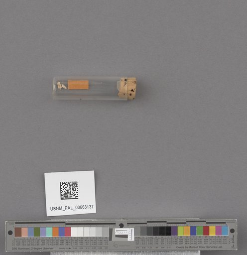 NSF ADBC EPICC TCN