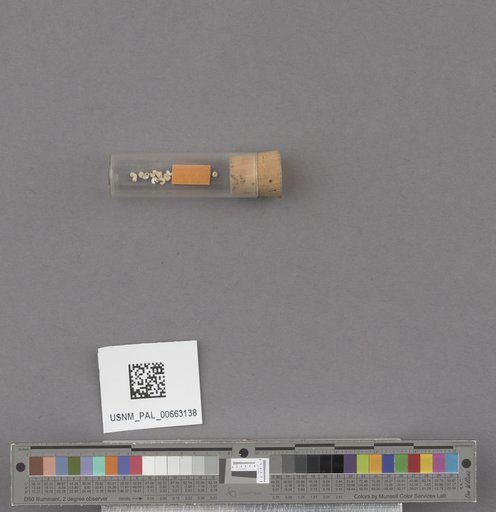 NSF ADBC EPICC TCN
