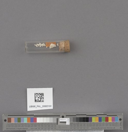 NSF ADBC EPICC TCN