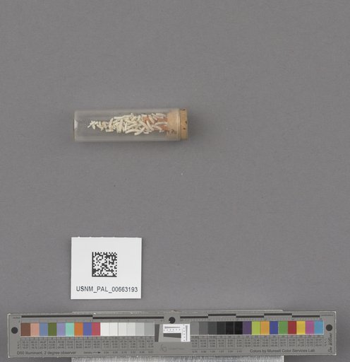 NSF ADBC EPICC TCN
