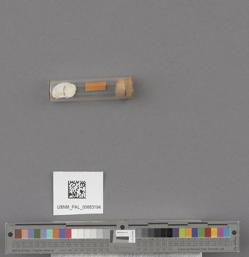NSF ADBC EPICC TCN