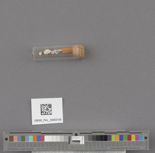 NSF ADBC EPICC TCN