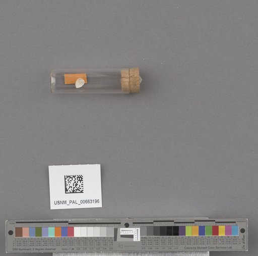NSF ADBC EPICC TCN