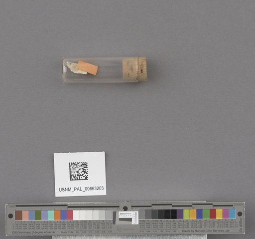 NSF ADBC EPICC TCN