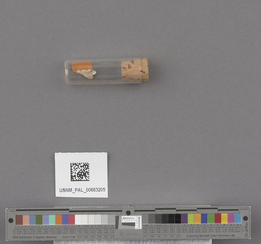 NSF ADBC EPICC TCN