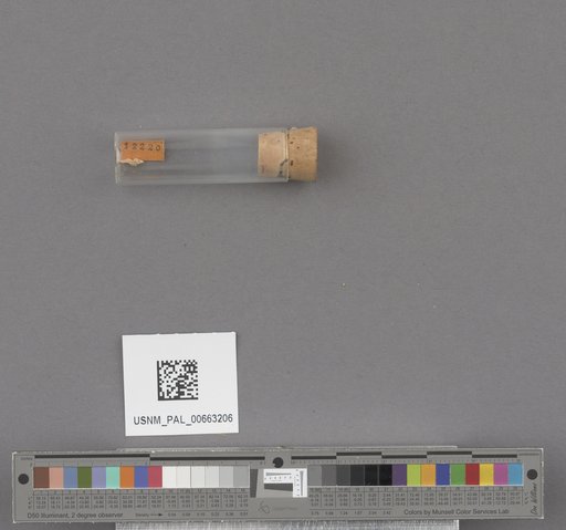 NSF ADBC EPICC TCN