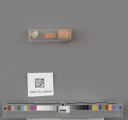 NSF ADBC EPICC TCN