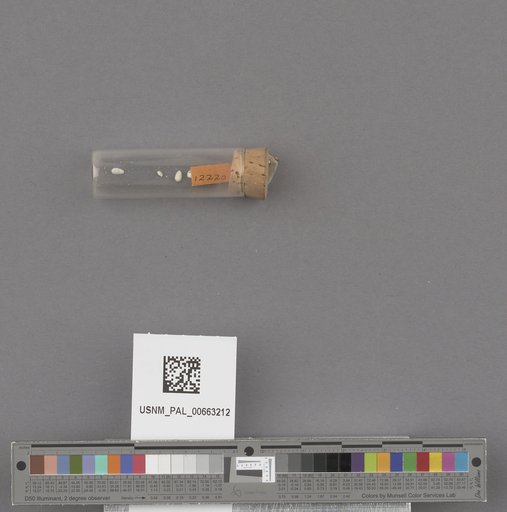 NSF ADBC EPICC TCN