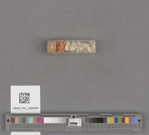 NSF ADBC EPICC TCN
