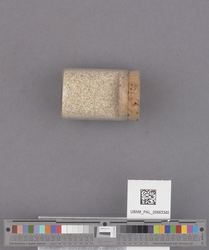 NSF ADBC EPICC TCN