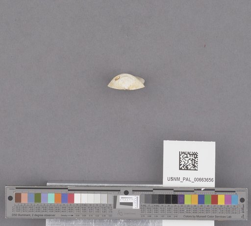NSF ADBC EPICC TCN