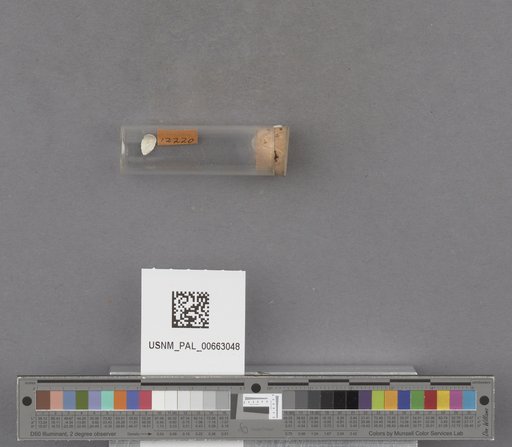 NSF ADBC EPICC TCN