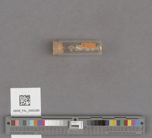NSF ADBC EPICC TCN