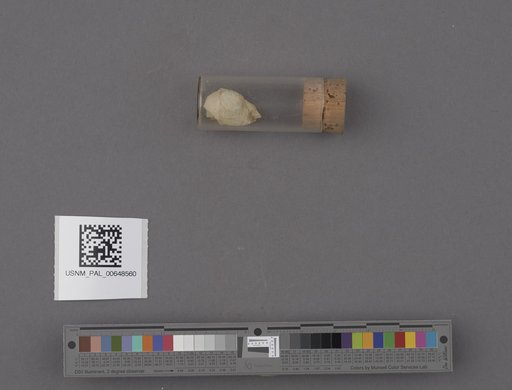 NSF ADBC EPICC TCN