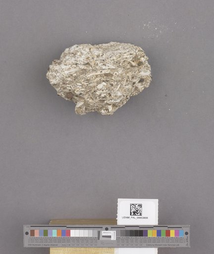NSF ADBC EPICC TCN