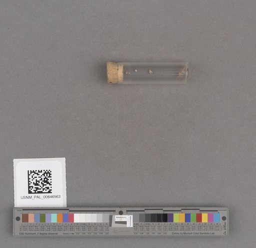 NSF ADBC EPICC TCN
